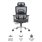 Ghế công thái học Ergonomic E-Dra EEC220 | Đen