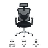 Ghế công thái học Ergonomic E-Dra EEC212 | Đen