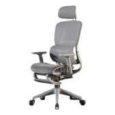 Ghế công thái học CTH-919 | Màu xám