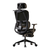 Ghế công thái học CTH-919 | Màu đen