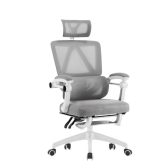 Ghế công thái học CTH-899 | Màu xám